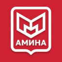 Амина